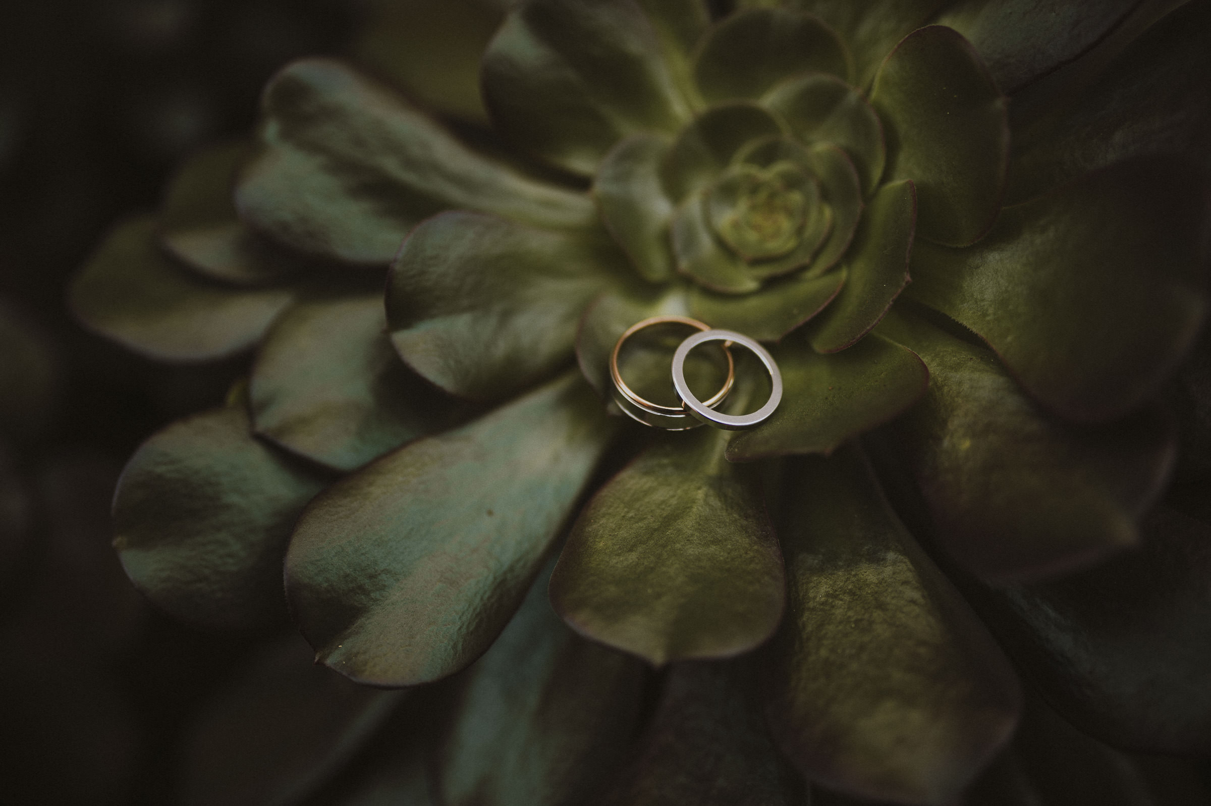 Joel_Laura_Newcastle_Wedding_Blog.jpg