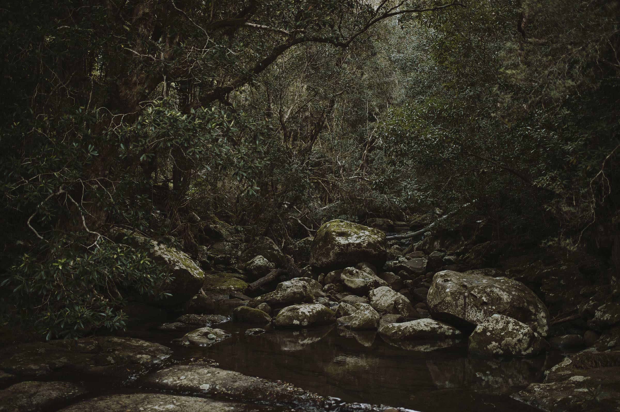 Susan_Remi_Same_Sex_Elopement_Anteloping_Kangaroo_Valley_Blog-35.jpg