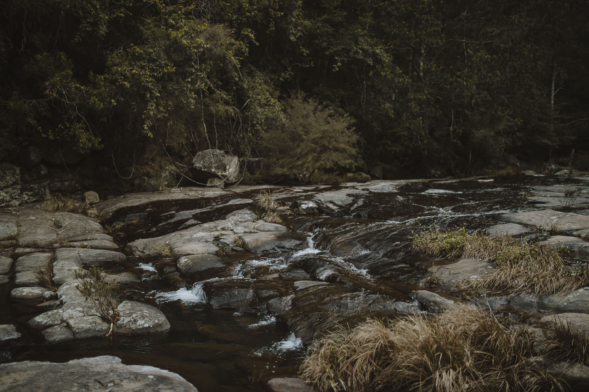 Susan_Remi_Same_Sex_Elopement_Anteloping_Kangaroo_Valley_Blog-67.jpg