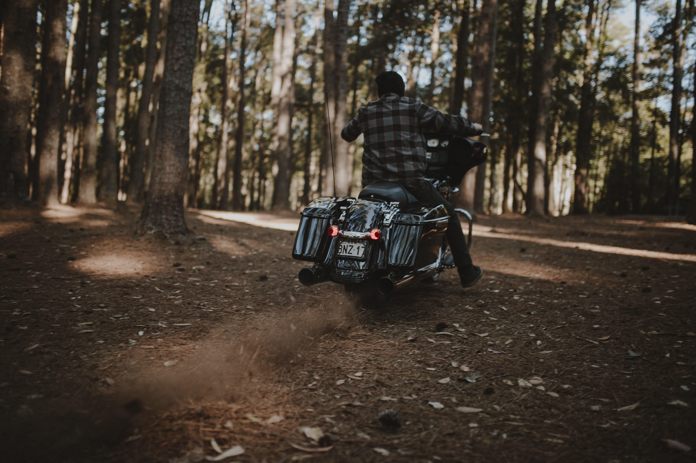 Madeline_Jamie_Watagens_Pine_Forest_Engagement_Shoot_Blog-10.jpg