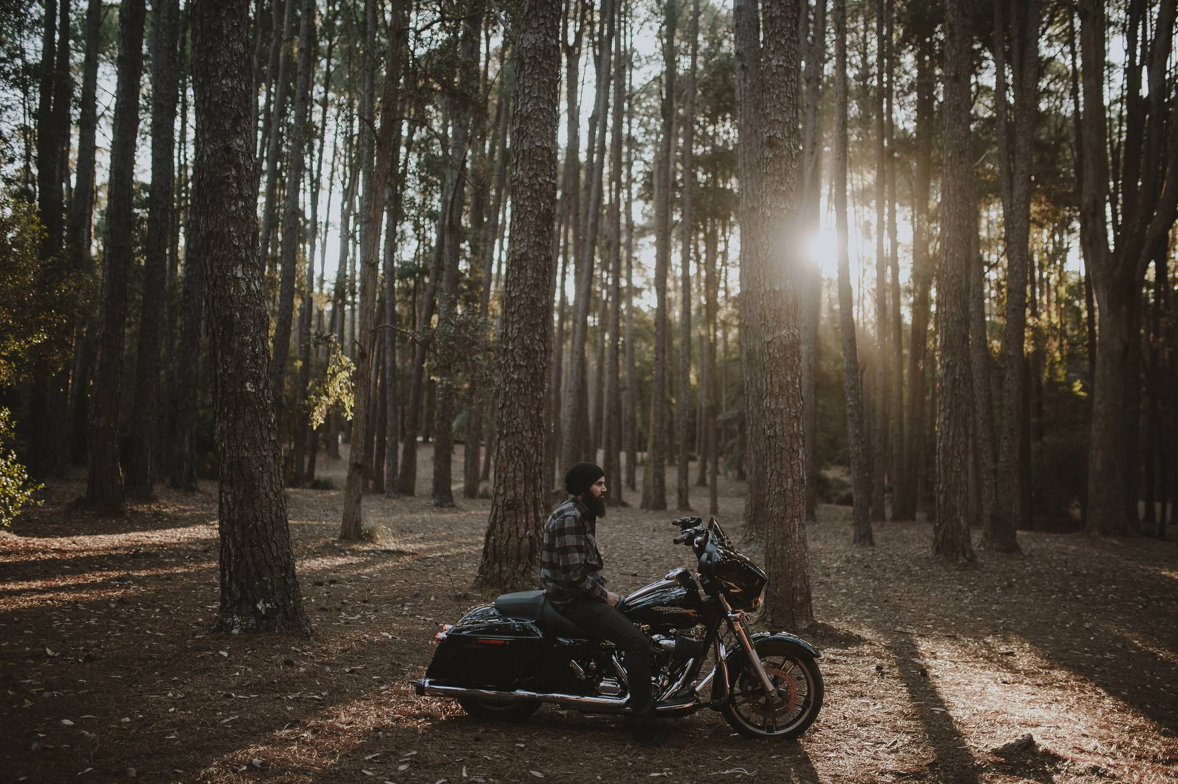 Madeline_Jamie_Watagens_Pine_Forest_Engagement_Shoot_Blog-32.jpg