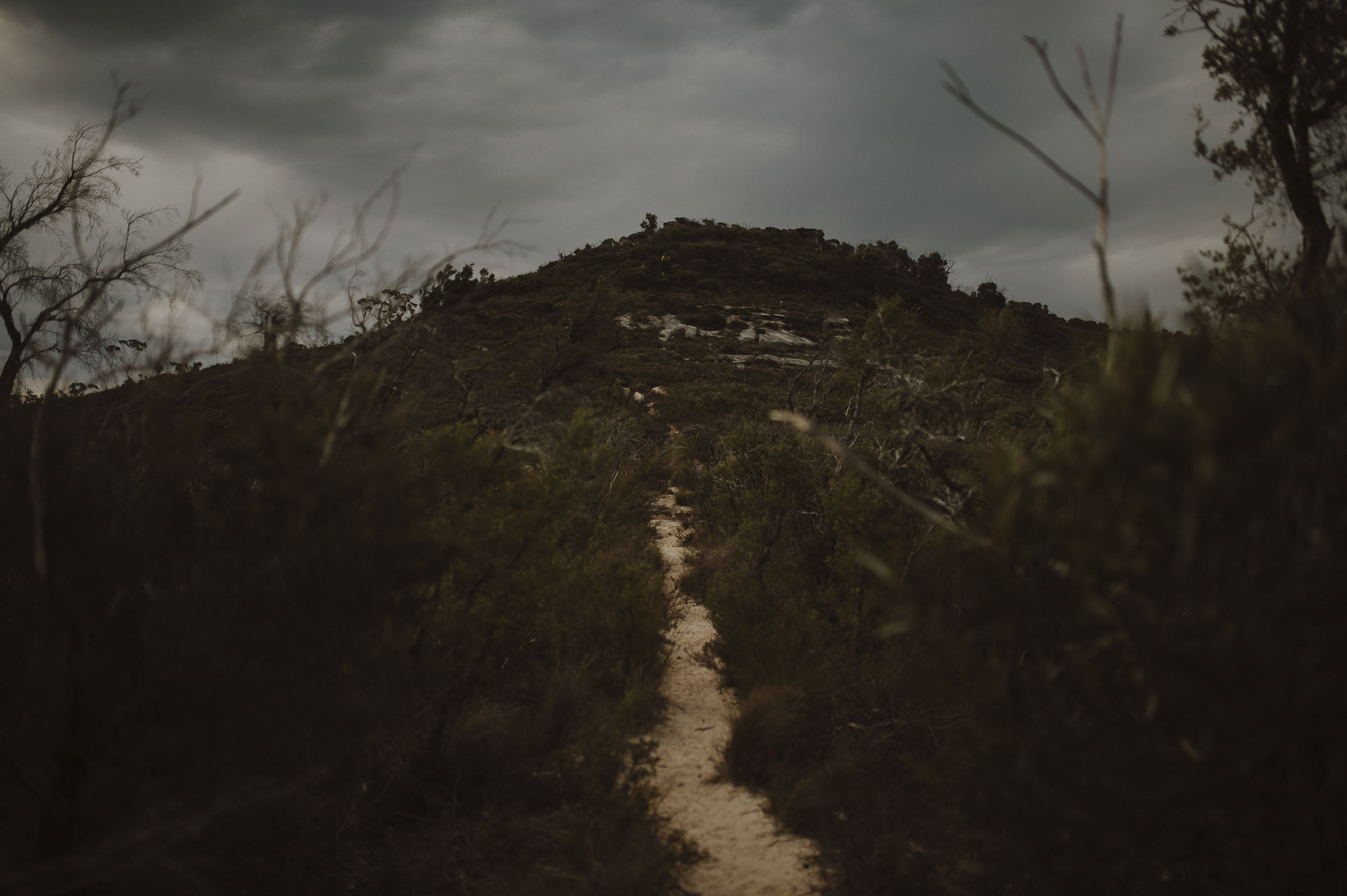 Caitlin_George_Blue_Mountains_Engagement_Shoot_Blog.jpg