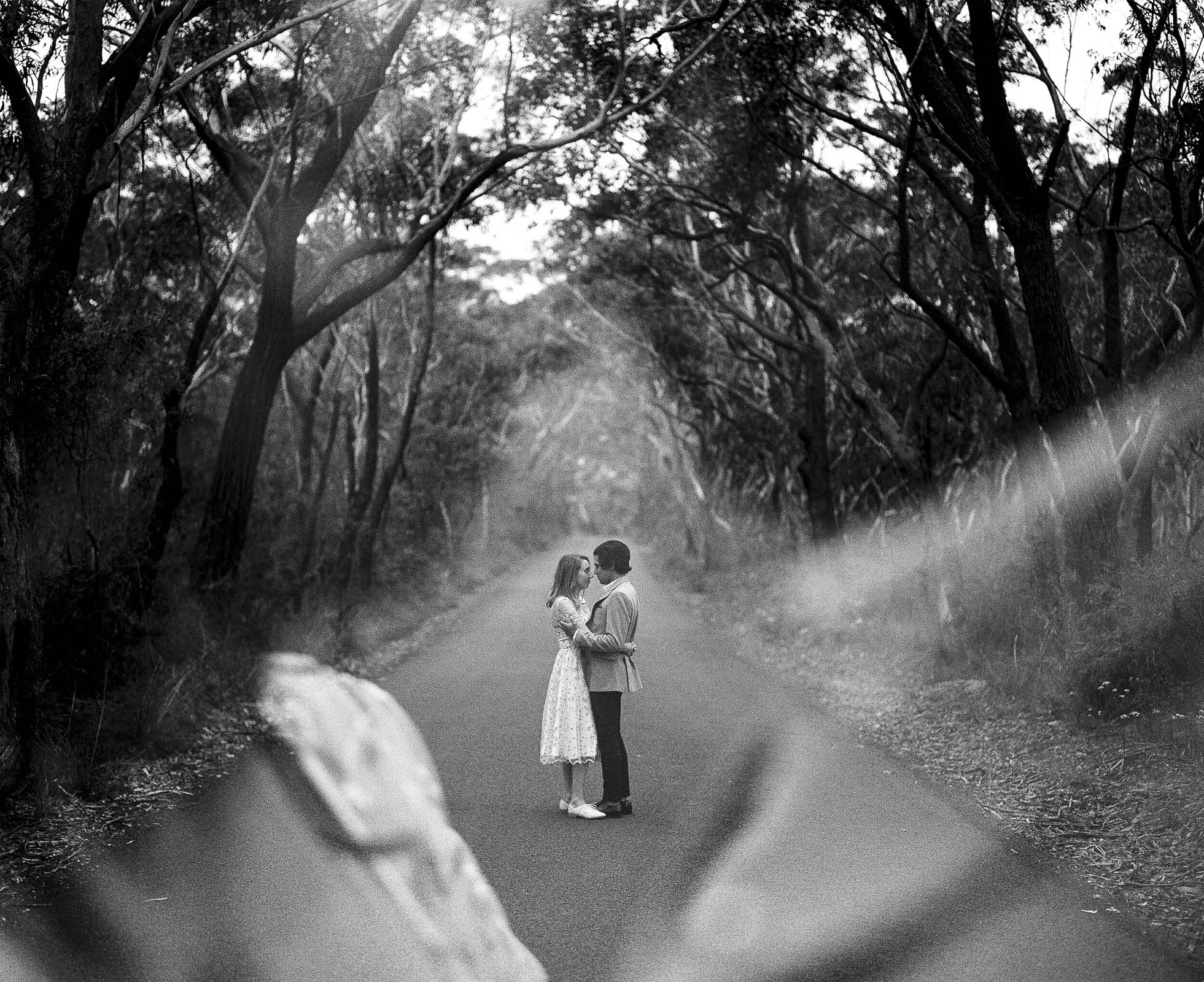 Best_of_2019_film_analog_shots-103.jpg