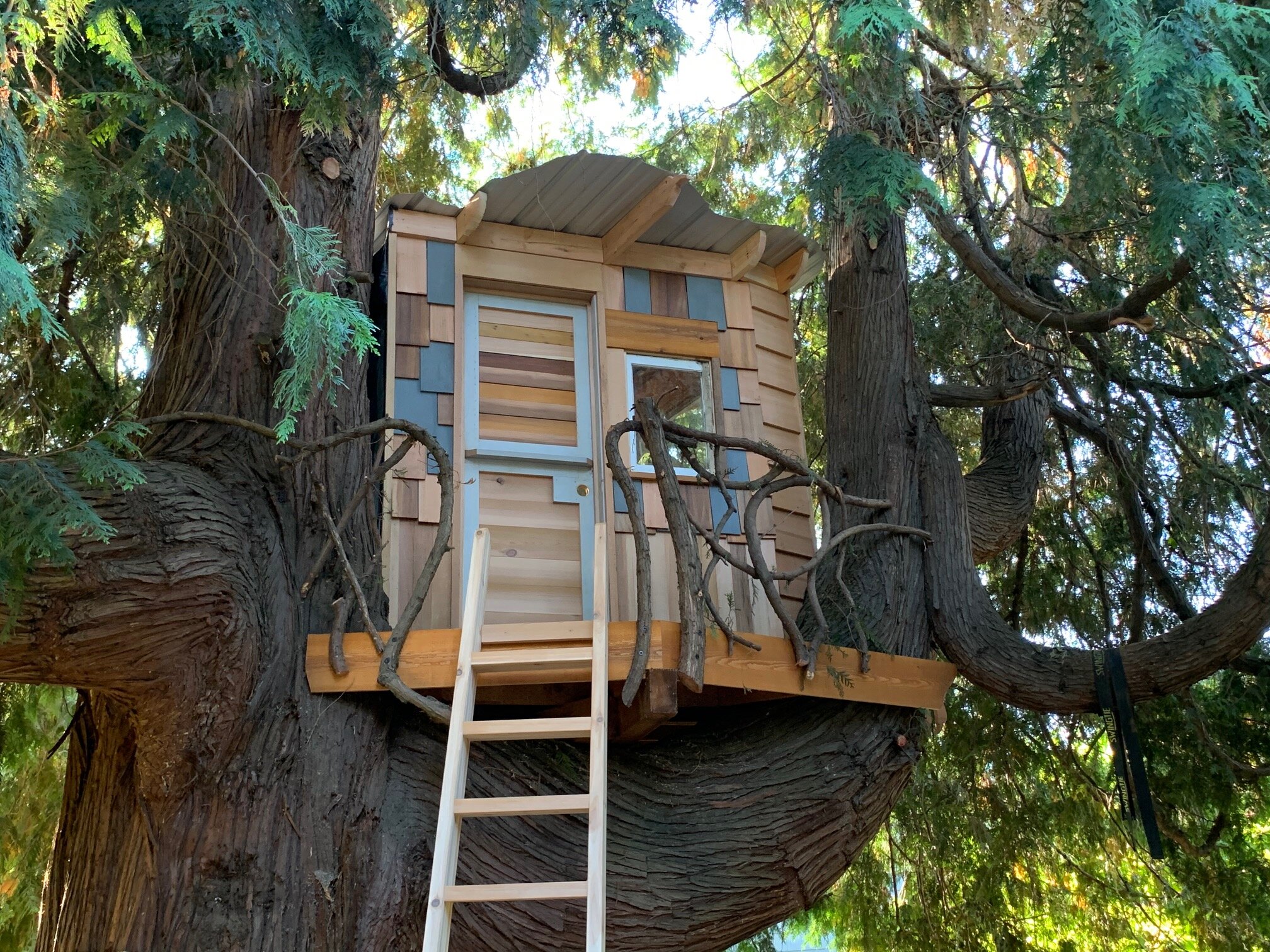treehouse_door.jpg