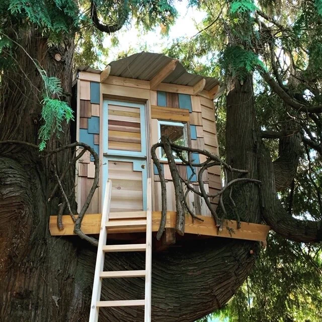 treehouse_frontdoor.JPG