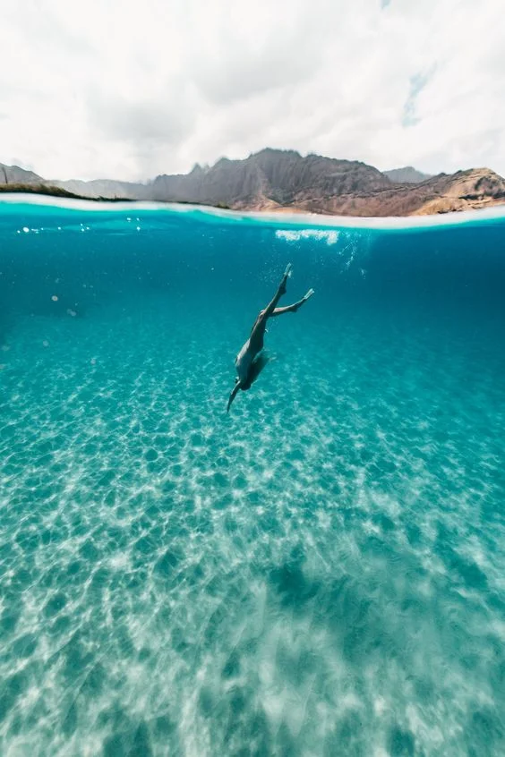 Source: “To Swim” , Pinterest