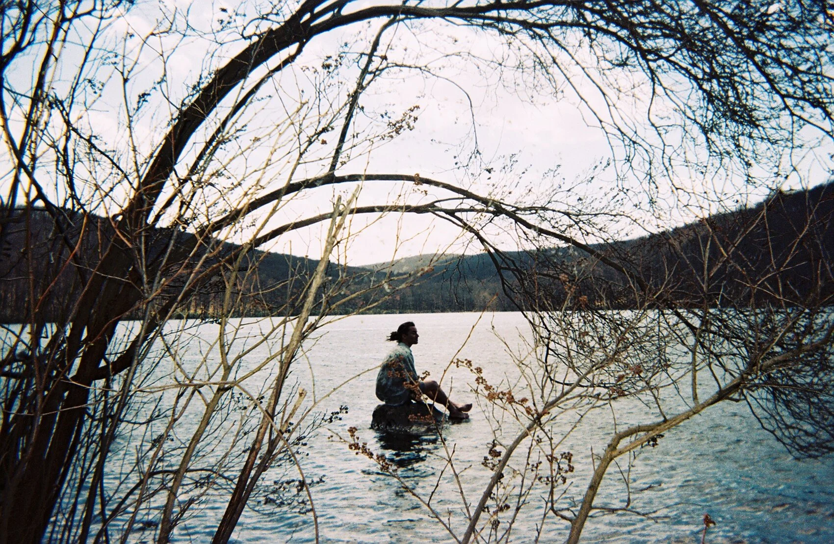   my oldest friend . catskill park, new york. 2016. 