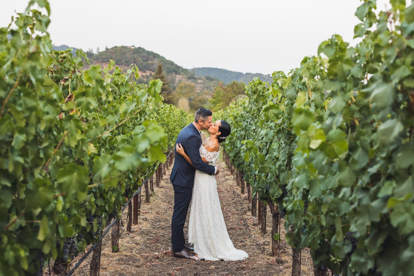 bride and groom kiss among vineyards in california