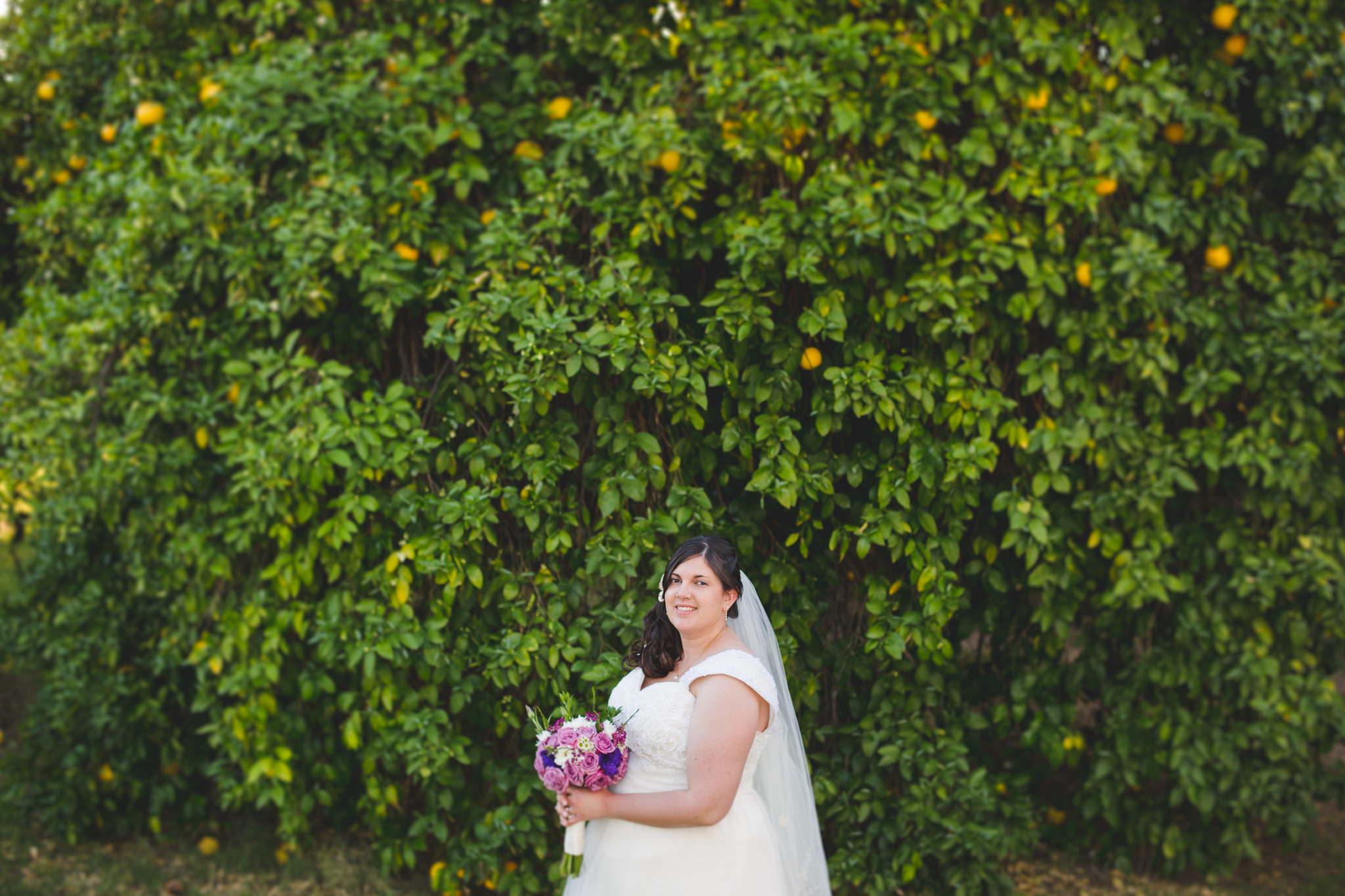 bride near large green tree epic sd