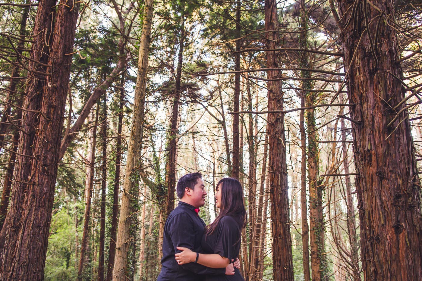 san-francisco-engagement-session-tall-trees