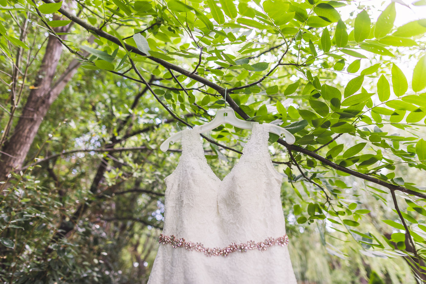 az-wedding-dress-in-tree