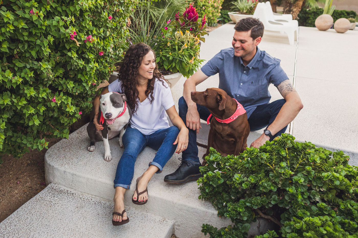 home-engagement-session-with-dogs
