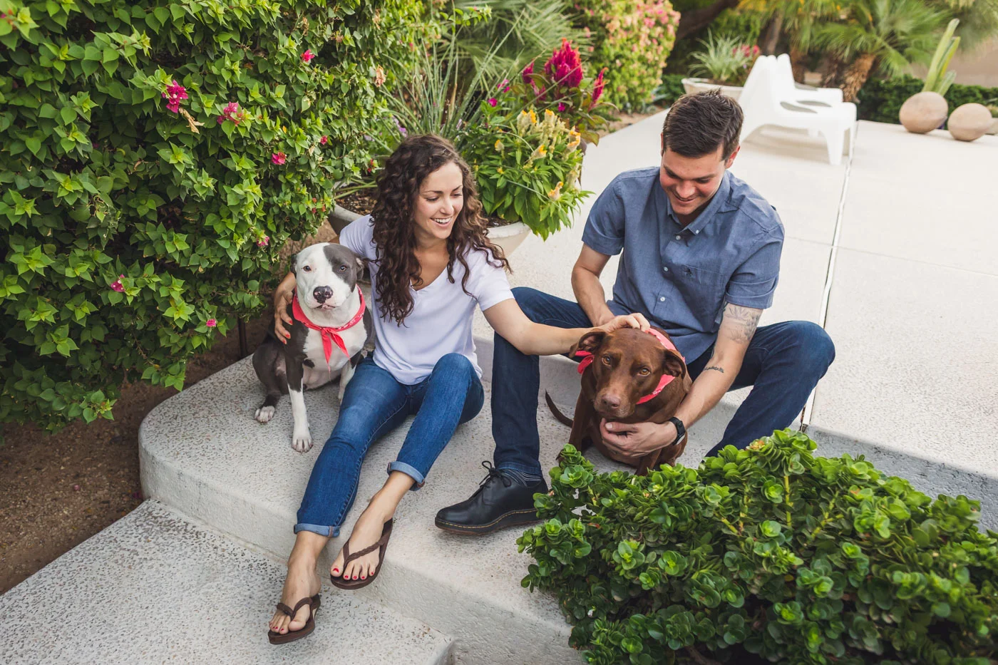 dogs-at-engagement-session.jpg