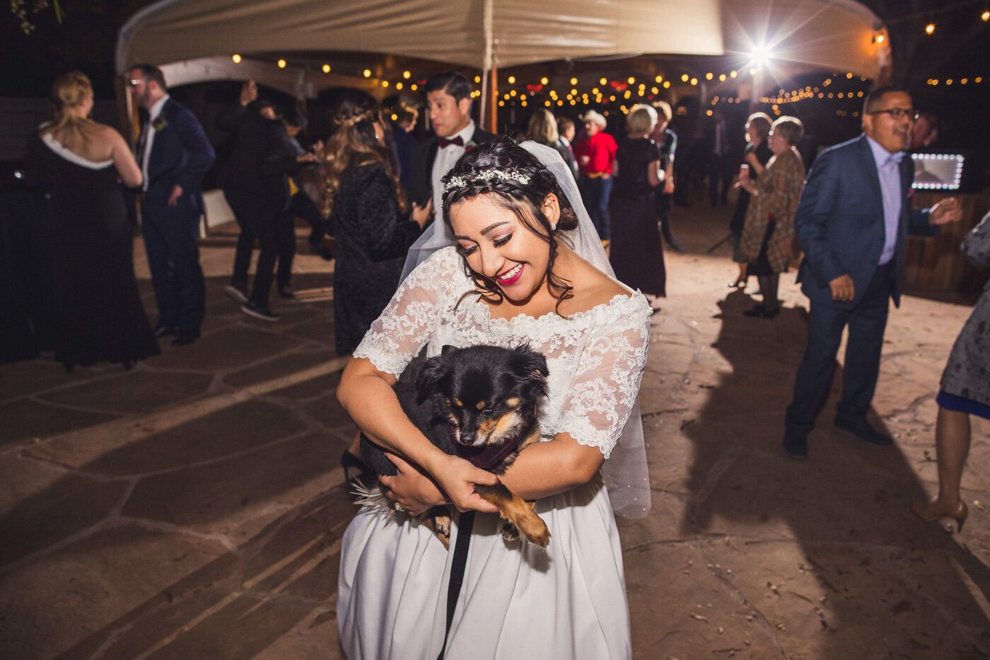 adorable-dog-at-wedding-reception
