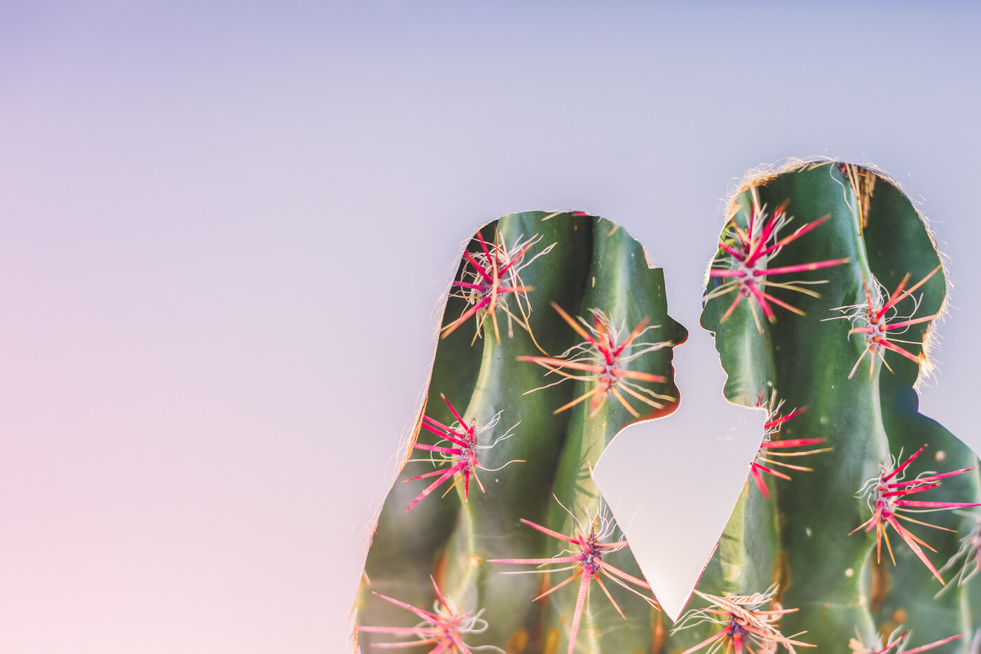 cactus-double-exposure-engagement-photo