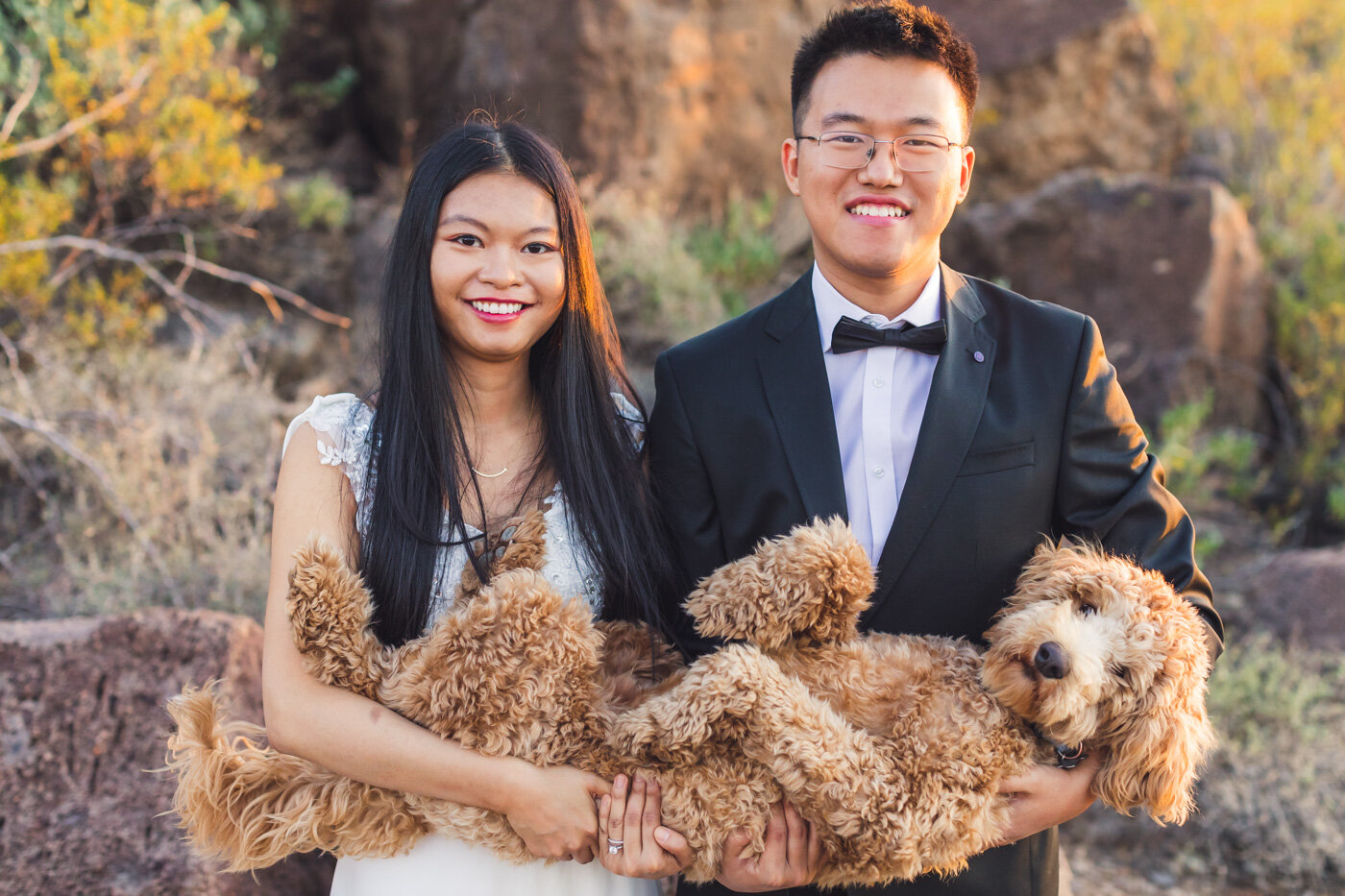 holding-dog-in-wedding-pictures