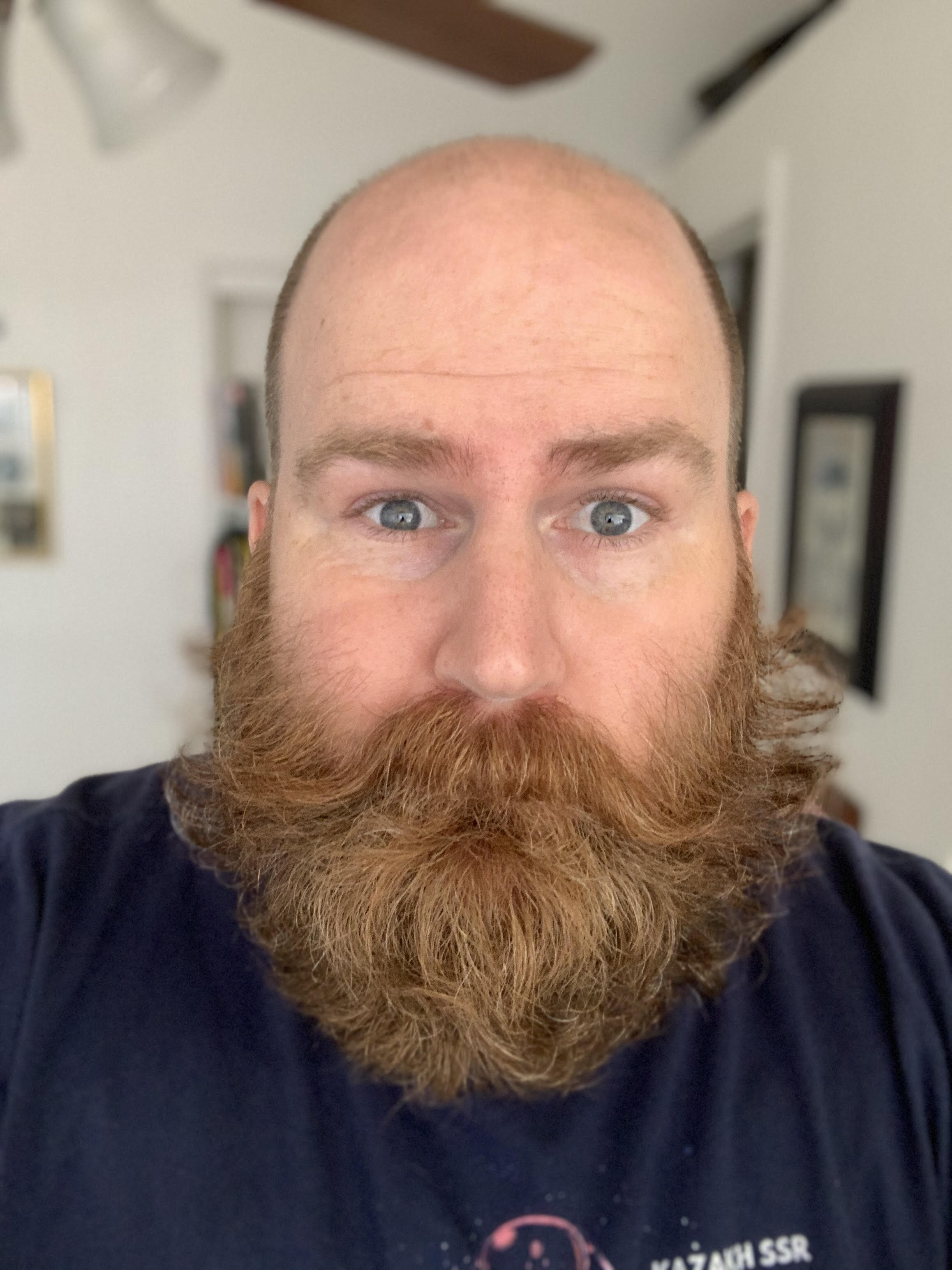silly-beard-face