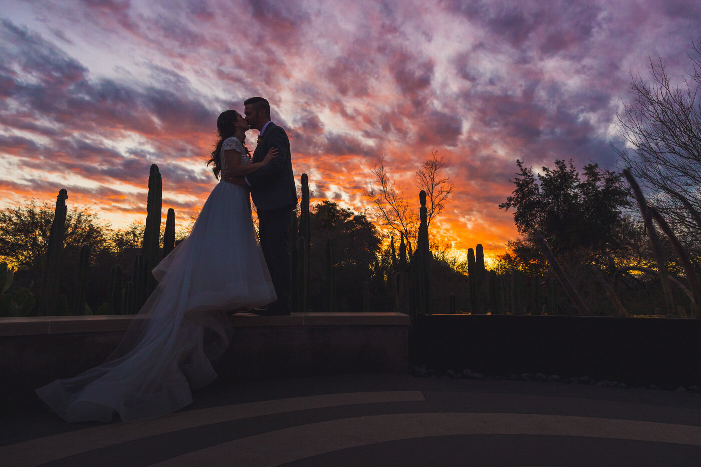 desert-botanical-garden-wedding-sunset