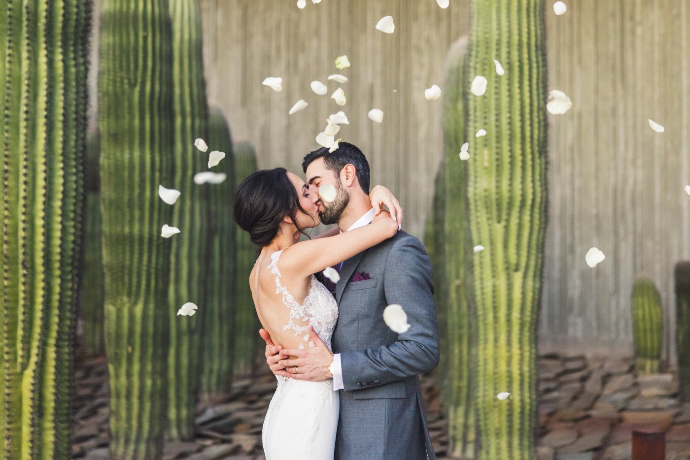 flower petals tossed in air in front of bride and groom kissing by cactus