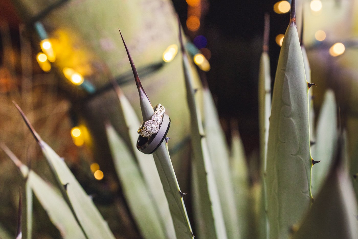 wedding ring sitting on agave plant