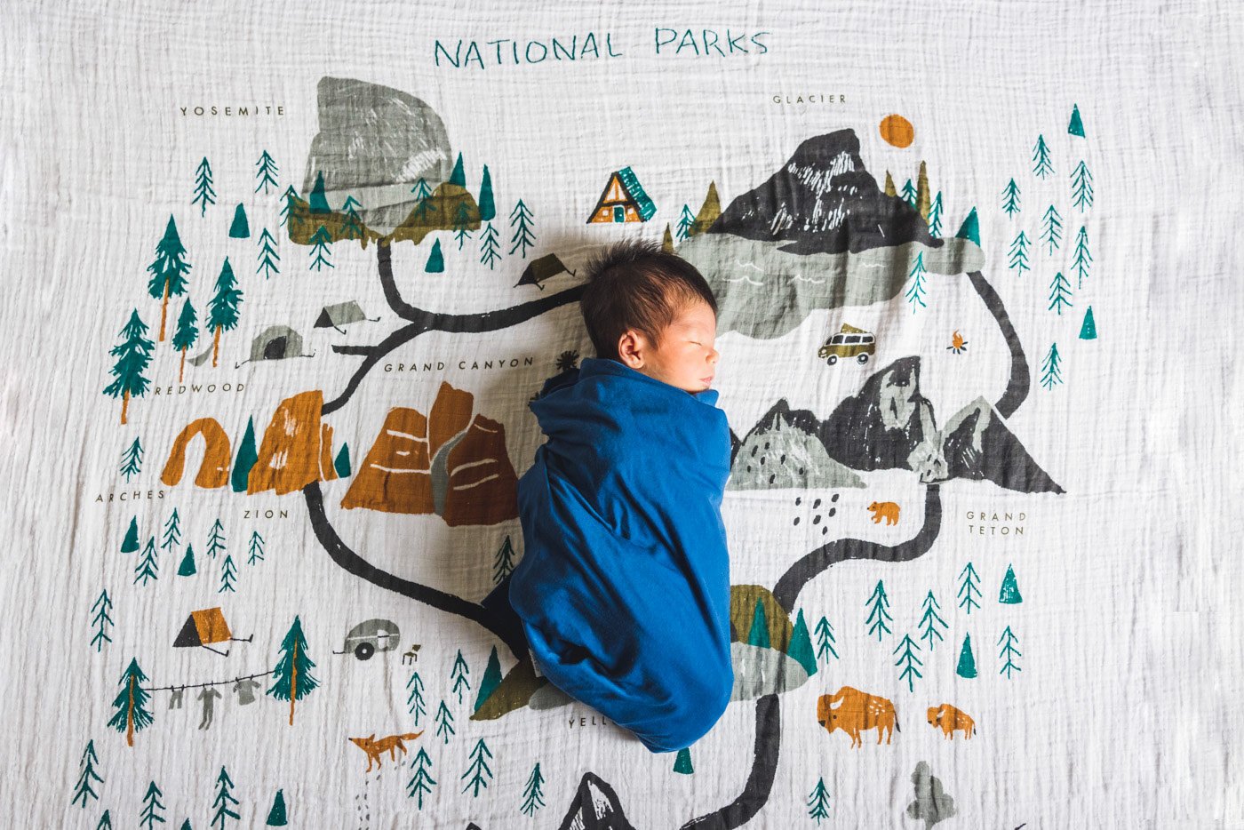baby laying swaddled on national parks blanket