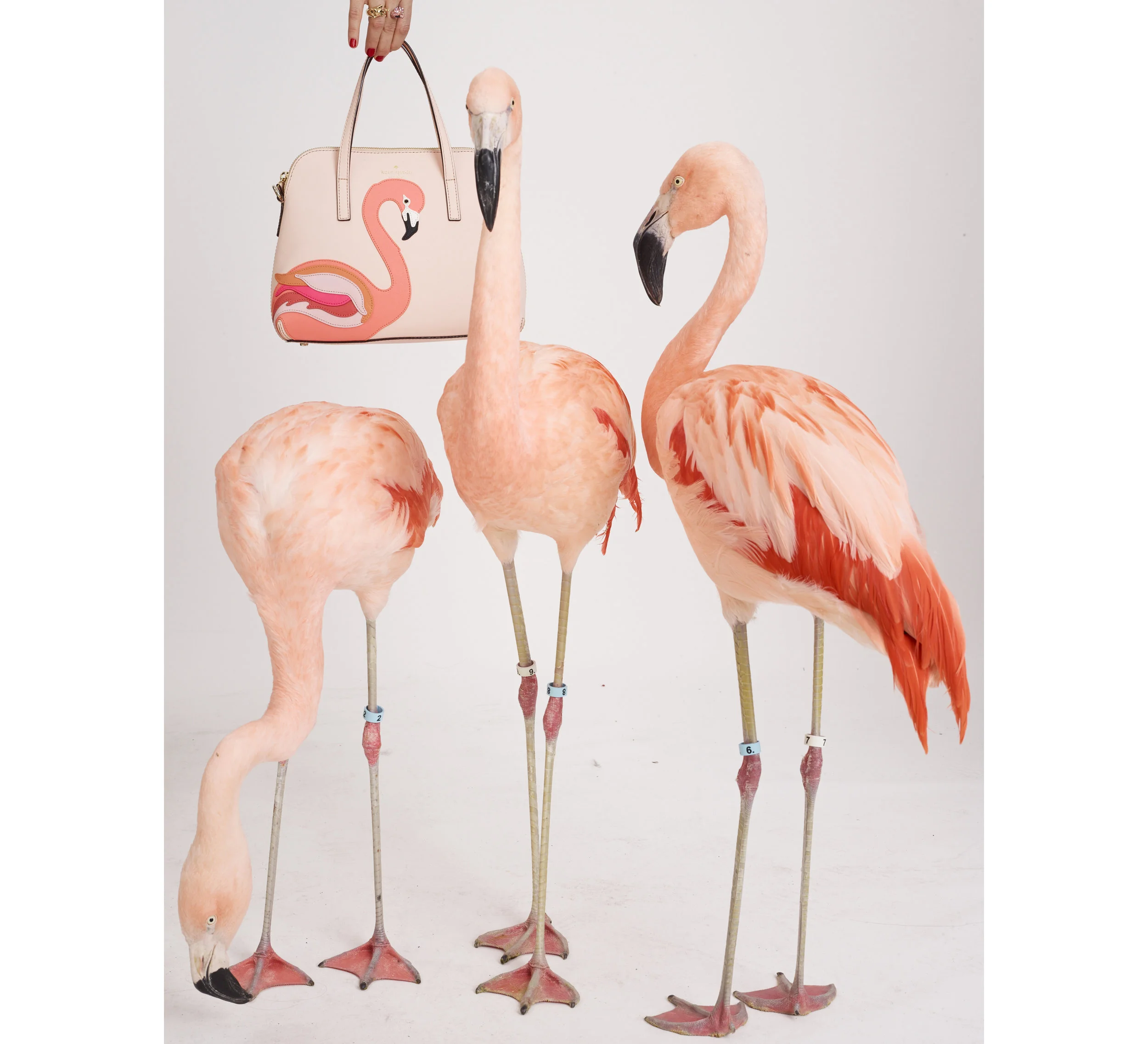 150205_ES_KateSpade_08_015 copy.jpg