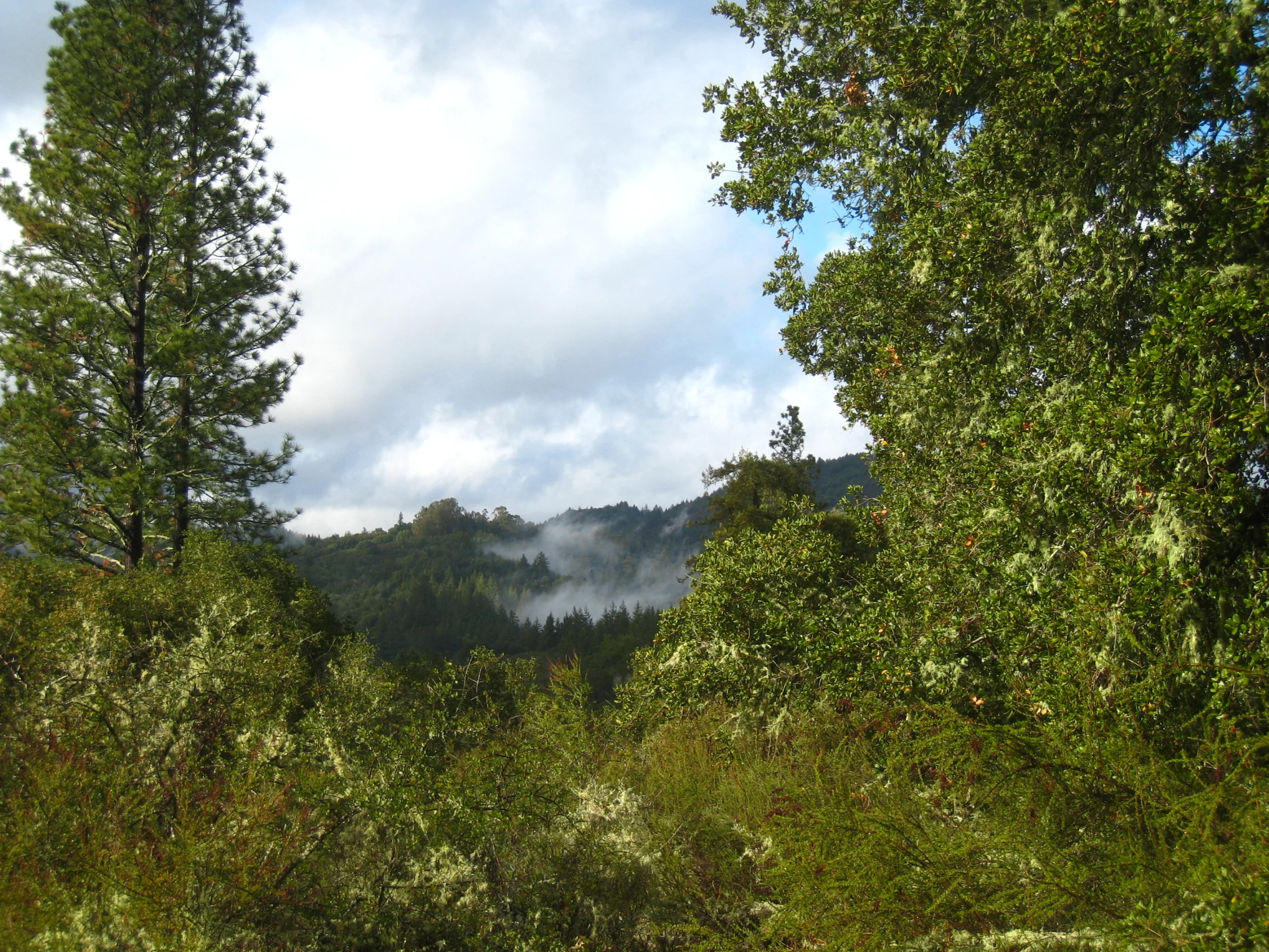 Ben Lomond, California