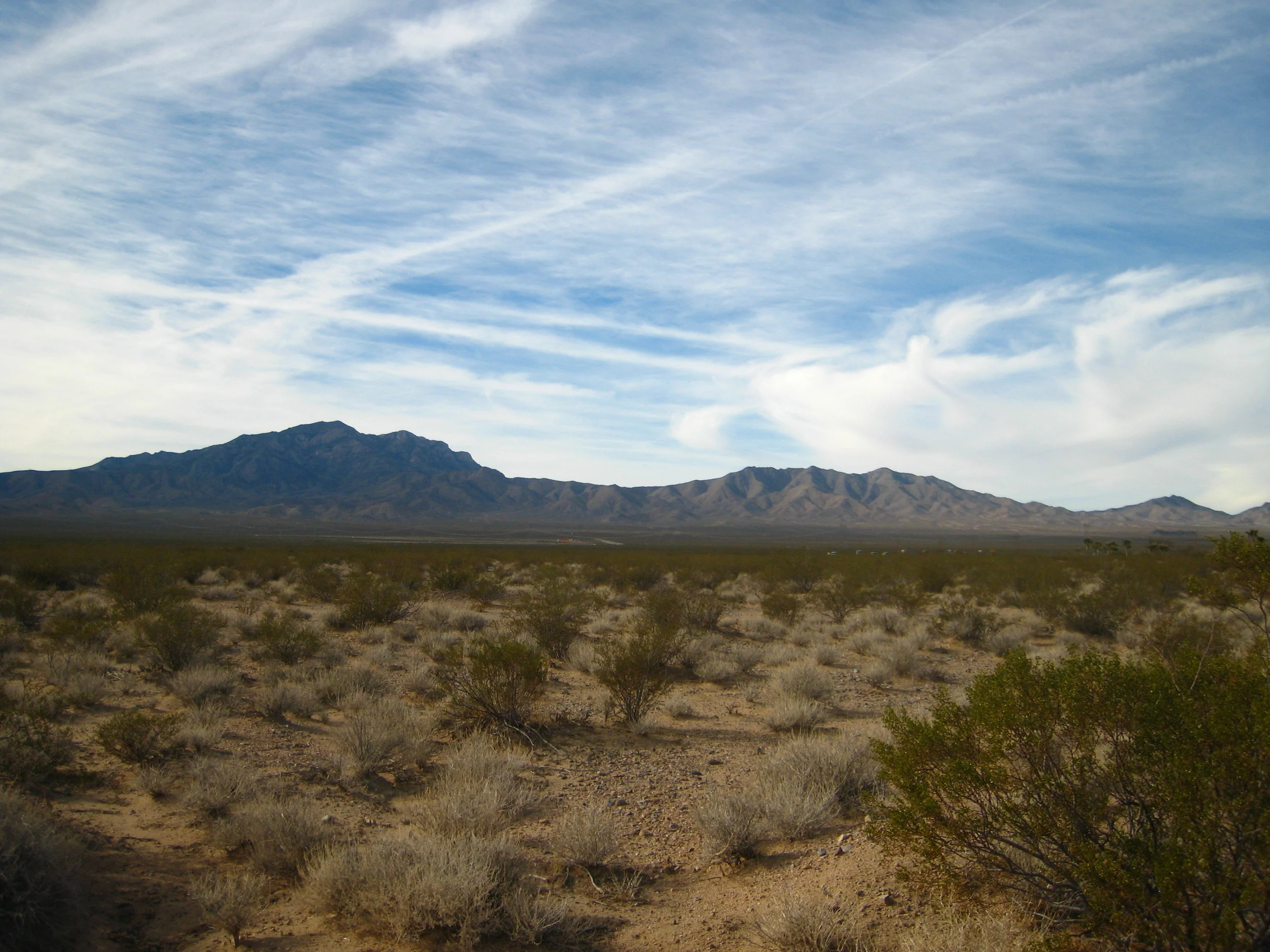 Ivanpah Valley 2010