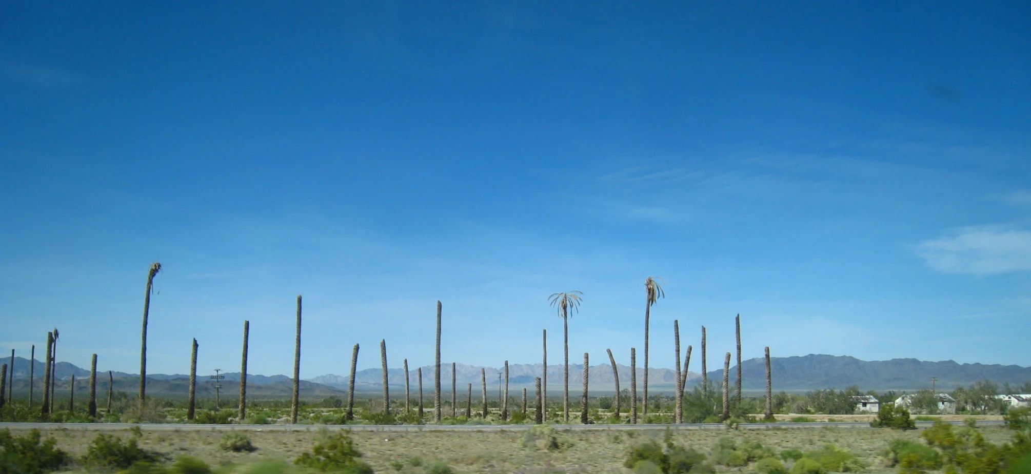 Desert Center, California