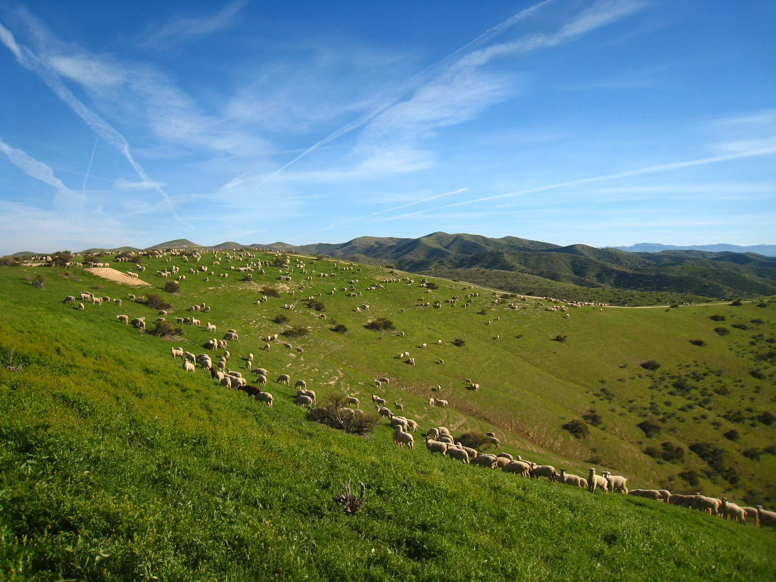 Panoche Hills, BLM, California