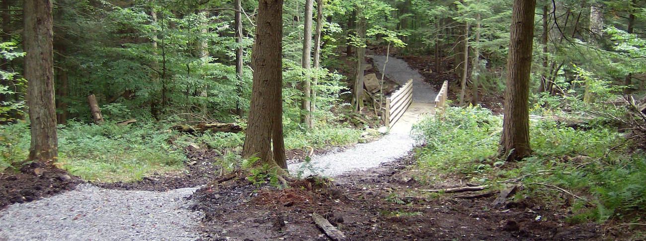 trail.png