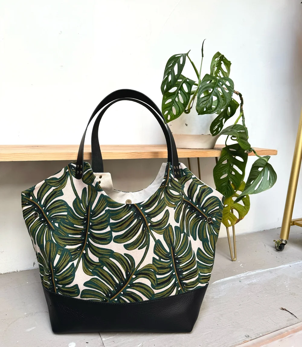 philodendron green lemon Philodendron hederaceum 'Lemon Lime' main image 0