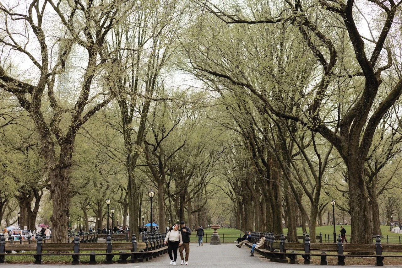 0406_0936 copy 2.jpeg