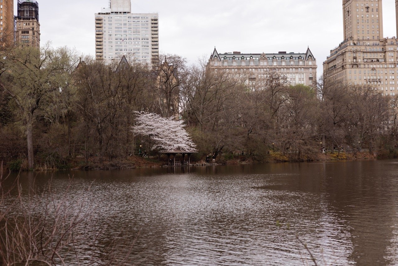 0406_0963 copy 2.jpeg