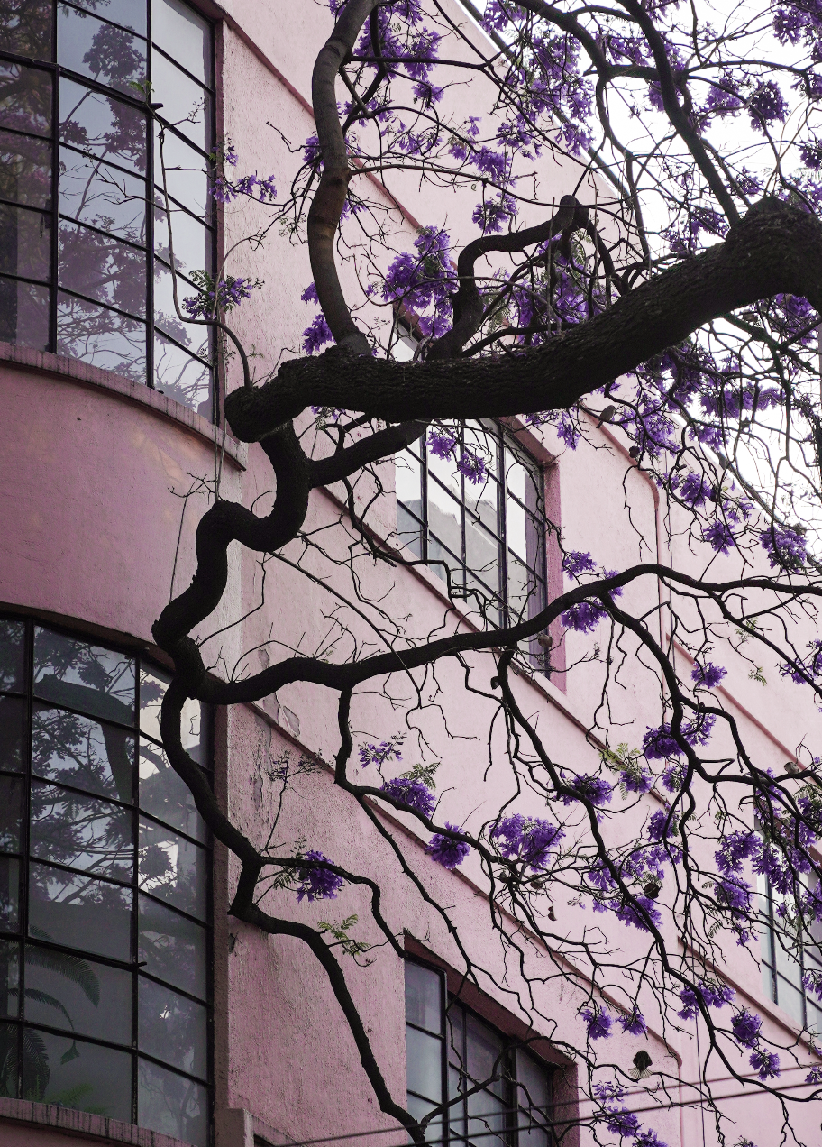 Screenshot 2026-04-14 at 8.04.08 AM.png