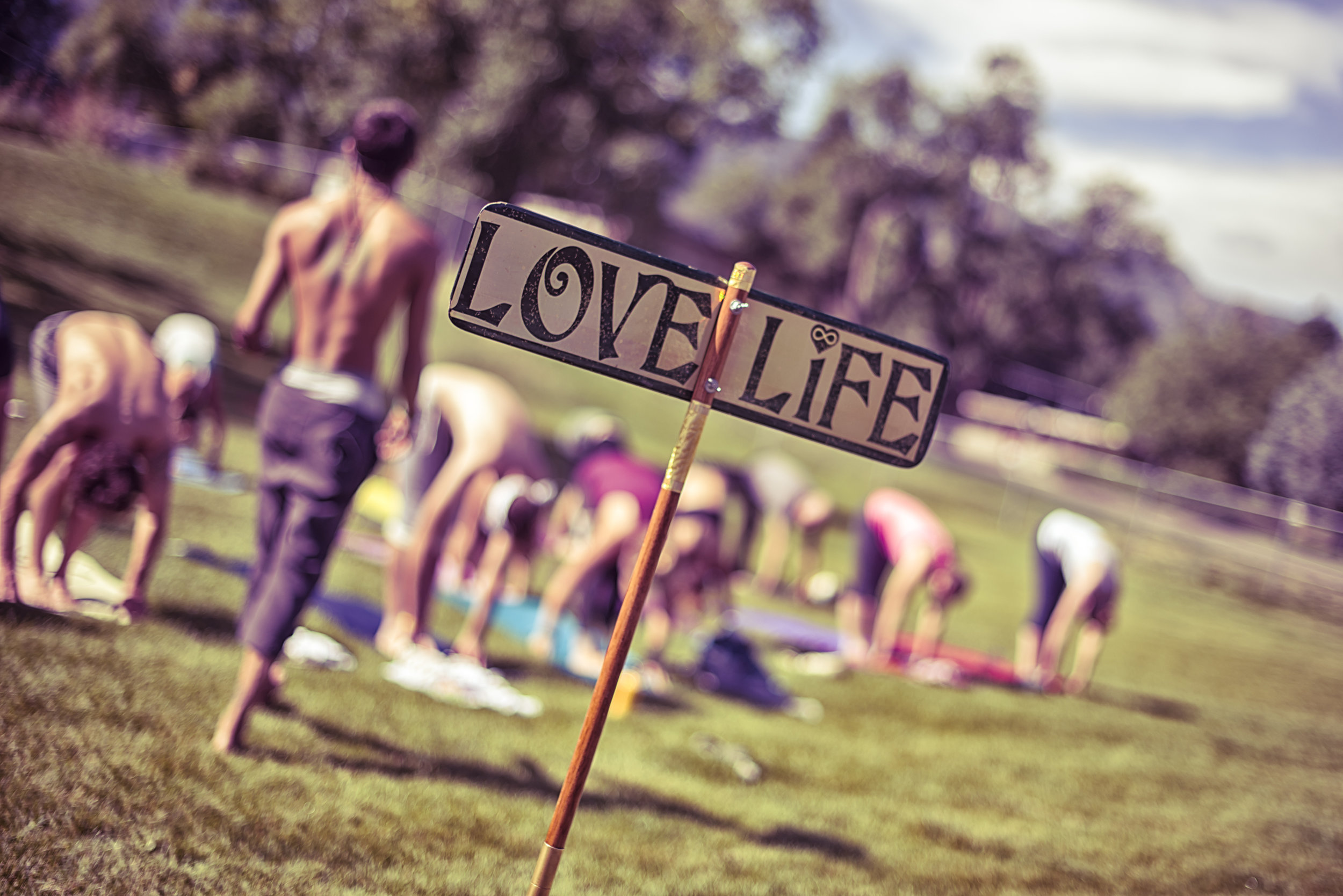 Yoga Rocks The Park 2014