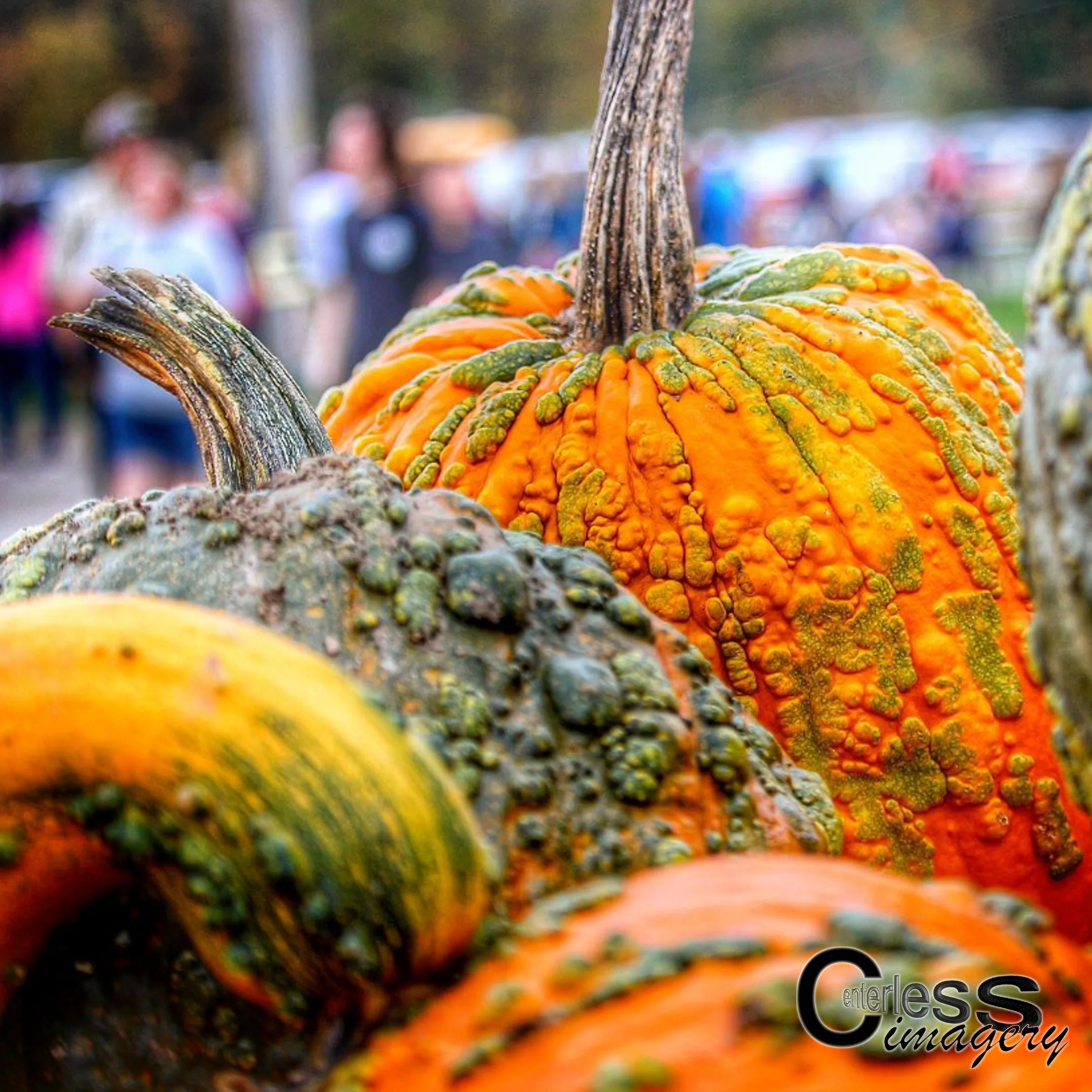 Pumpkins