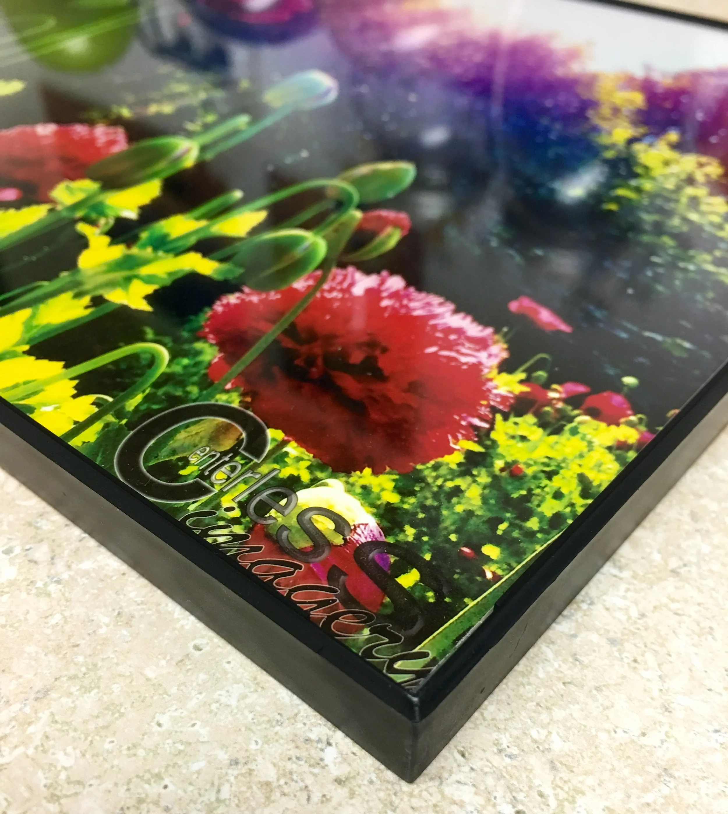 Framed Print 7