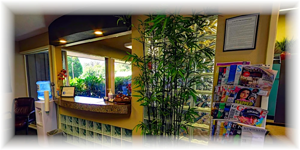 Bridgeport Dental Arts