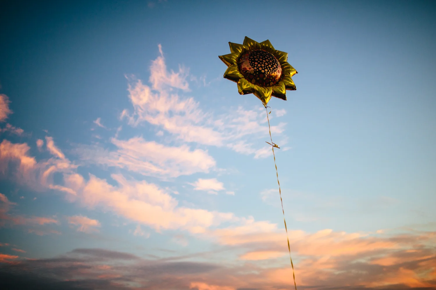 5DMkIII_2015-38253.jpg