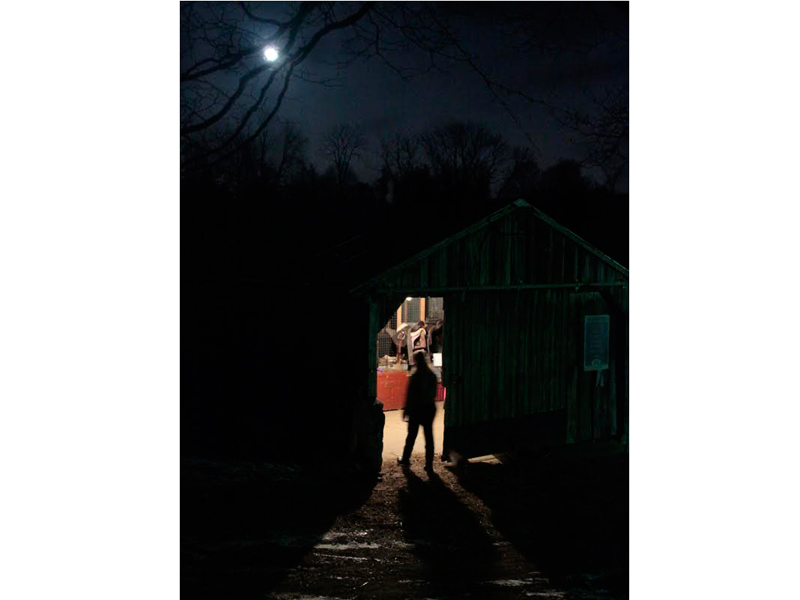   ...&nbsp;my subject was what I could find at the stable while waiting for her to feed the horses. That’s her in the doorway doing her thing.&nbsp;&nbsp;  