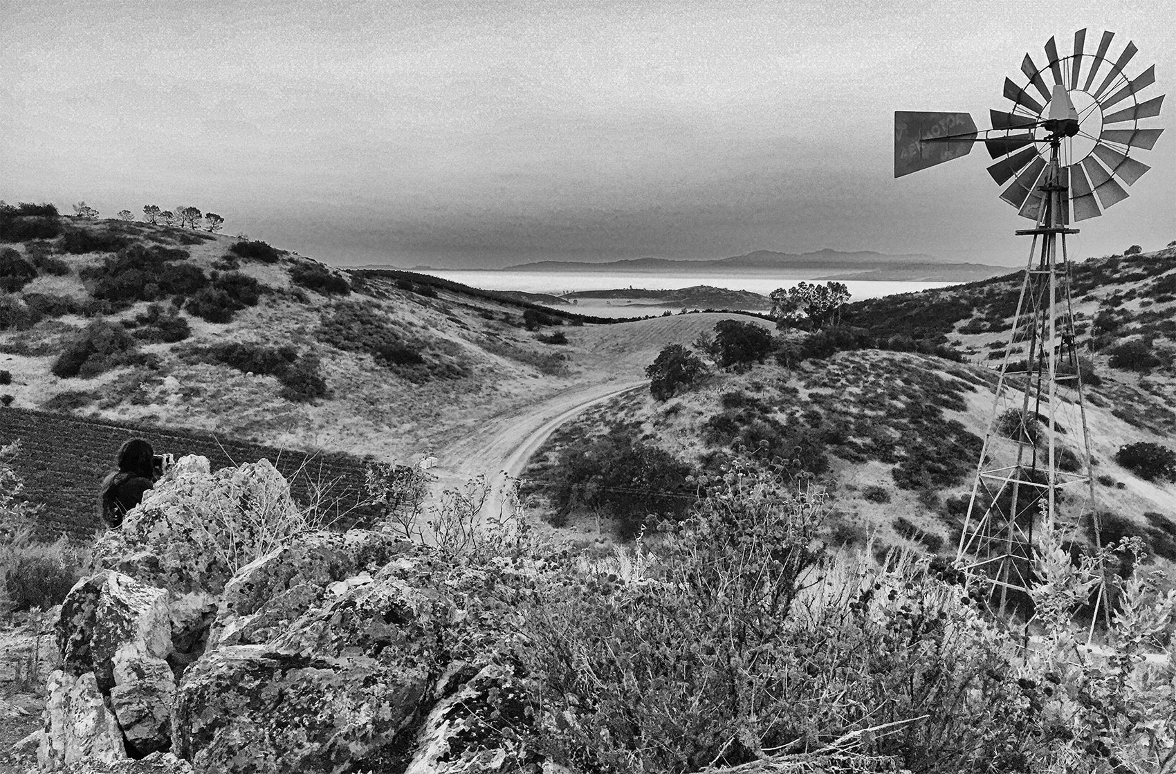 AntleIMG9692CroppedwindmillBWAlyssa copy.jpg