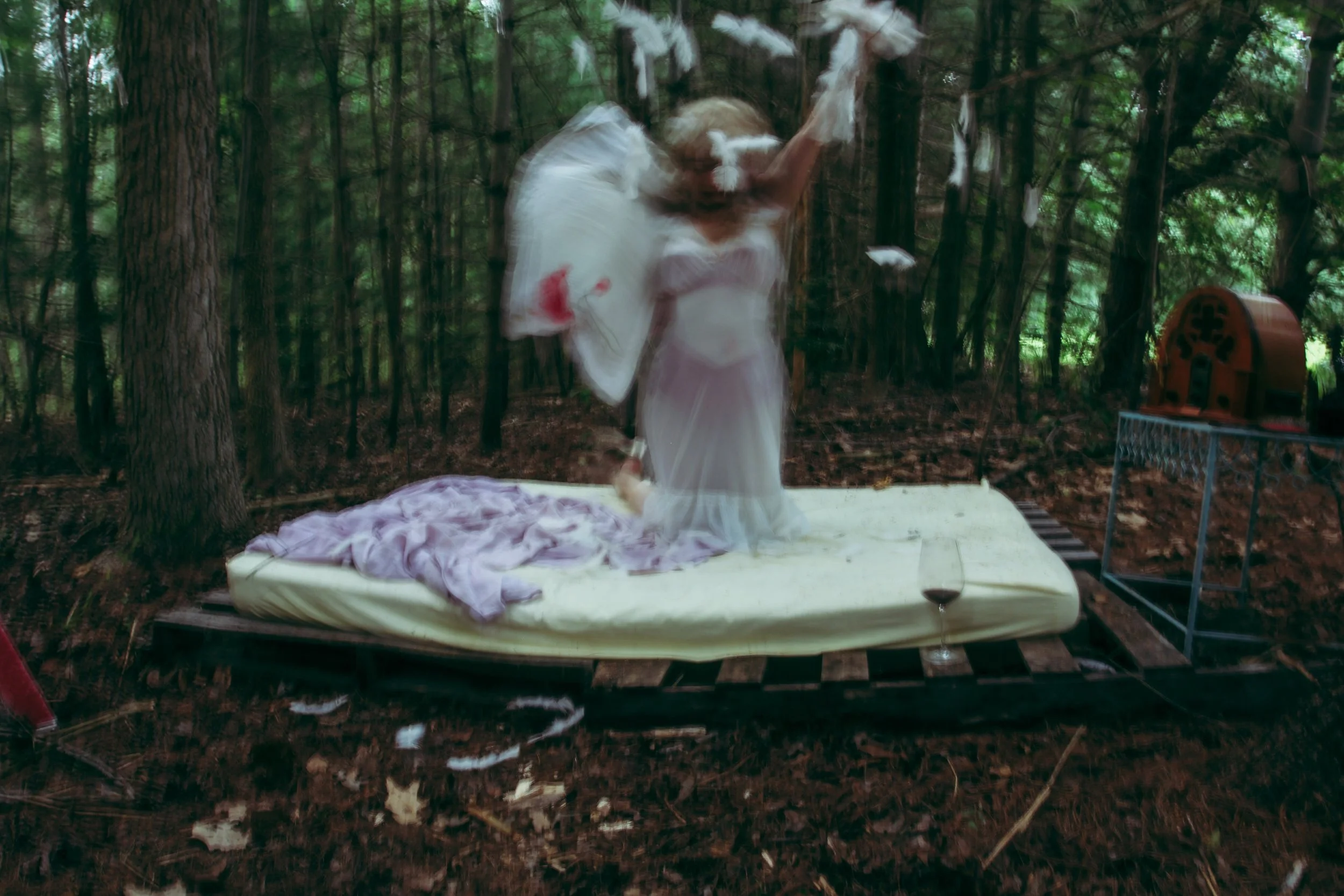 "Blood & Feathers" No.10