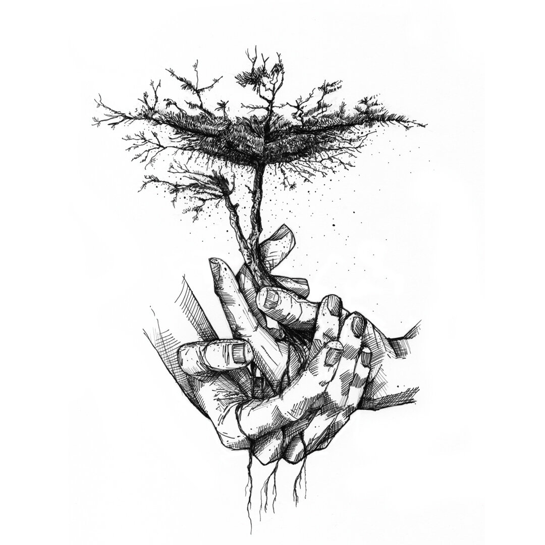 SHOP_COVER_Book2.jpg