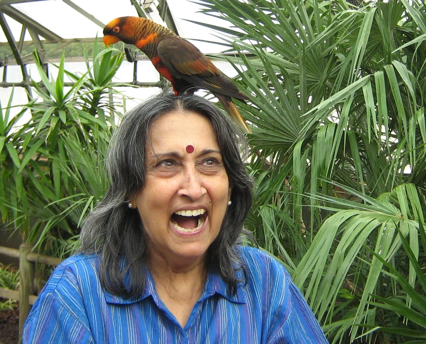 veena nagpal author.