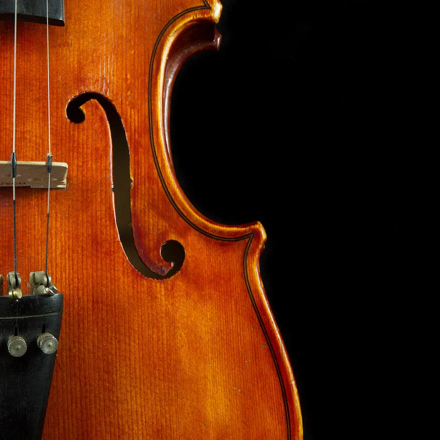 vertical-violin-art-iordanis-pallikaras.jpg