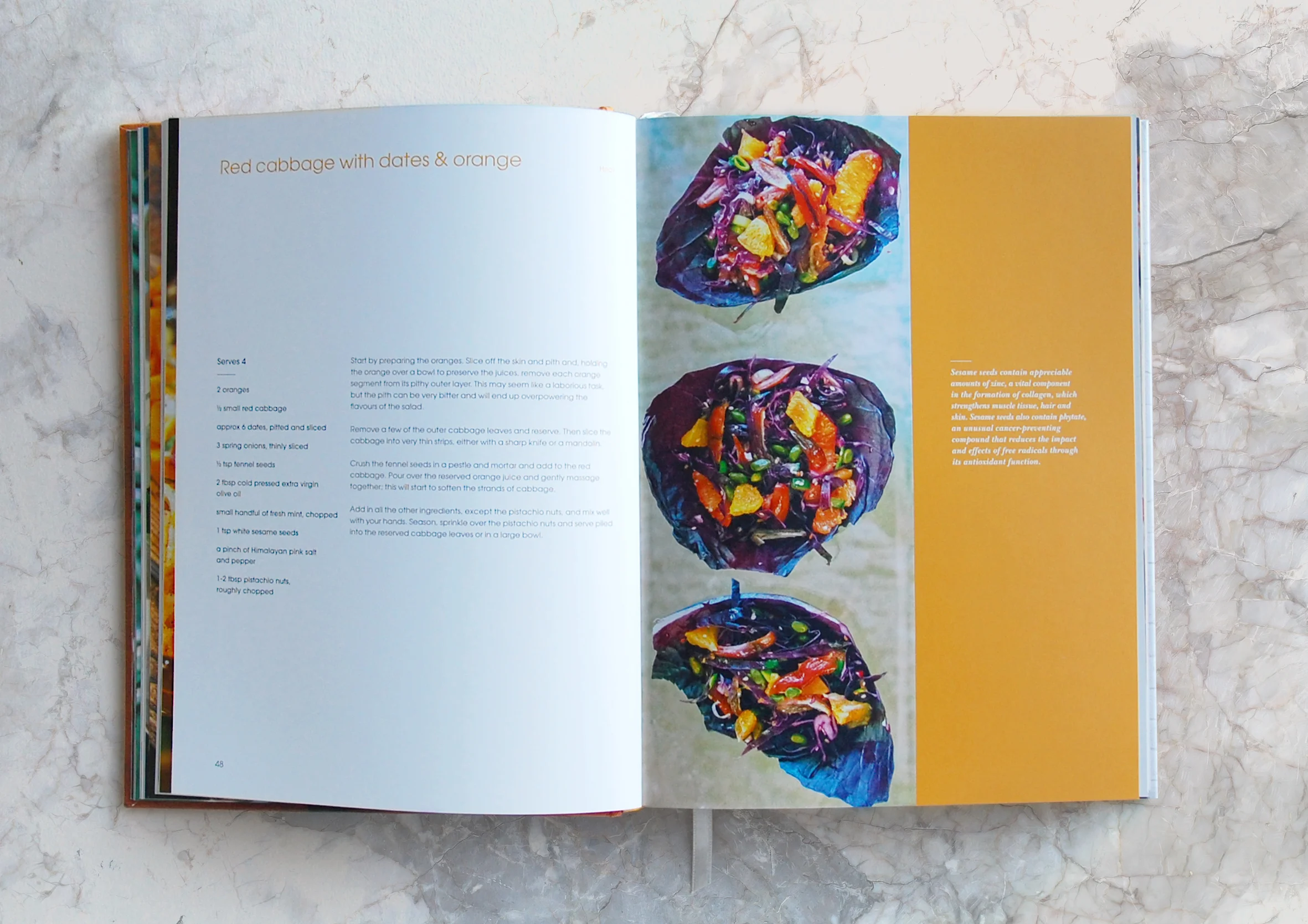 Eliane_Cookbook_Design_10.jpg