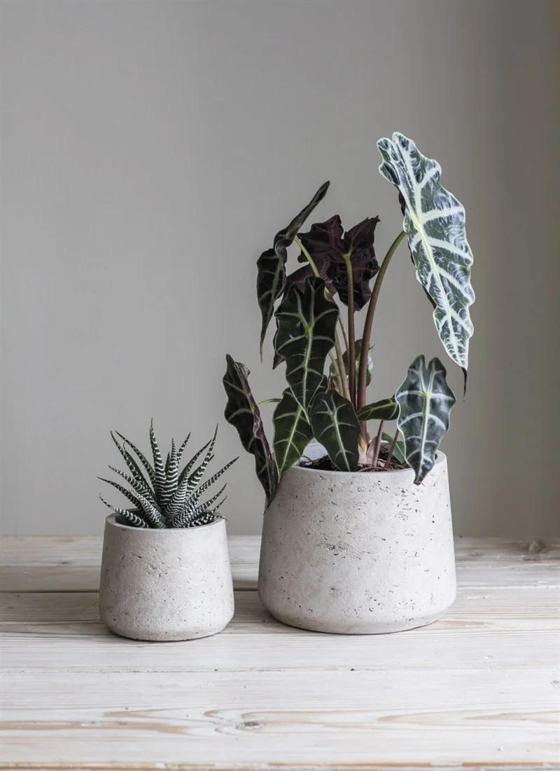 Set-of-2-Stratton-Cement-Plant-Pots-Stone-SPCT01.jpg