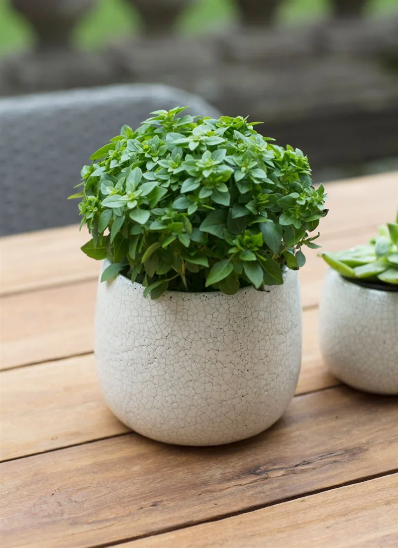 Ravello-Pot-Large-Ceramic-White-PLCE03.jpg