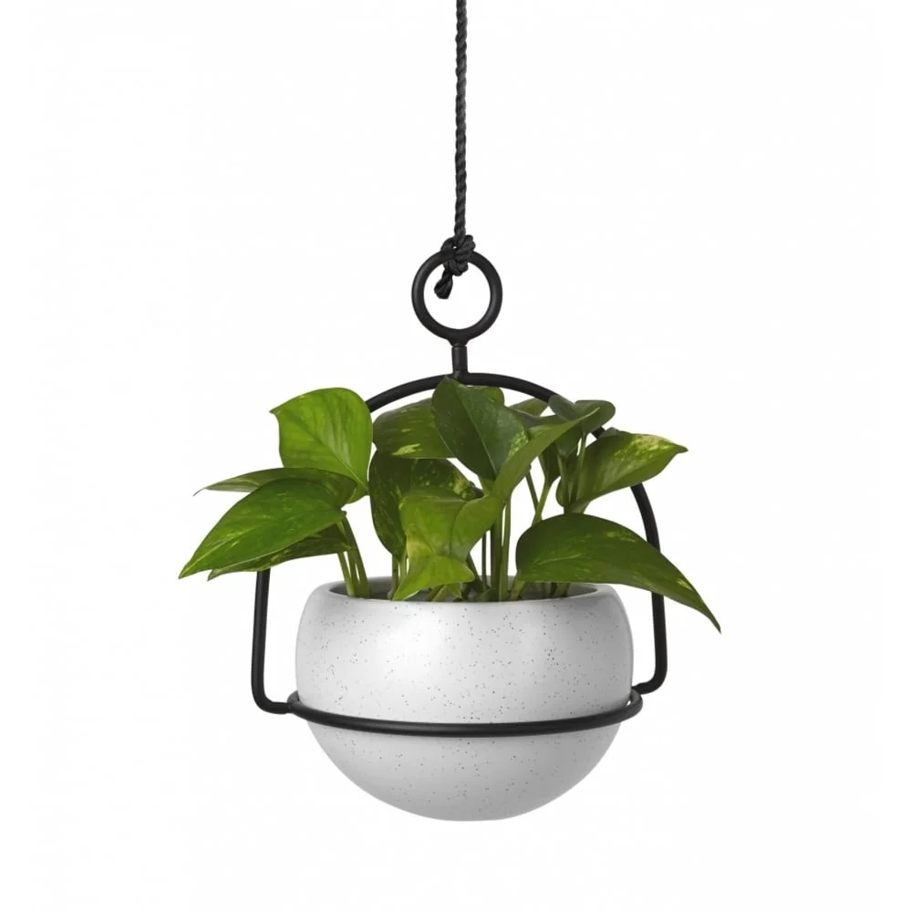 umbra-nesta-table-hanging-planter-with-ceramic-pot-p4007-13567_image.jpg